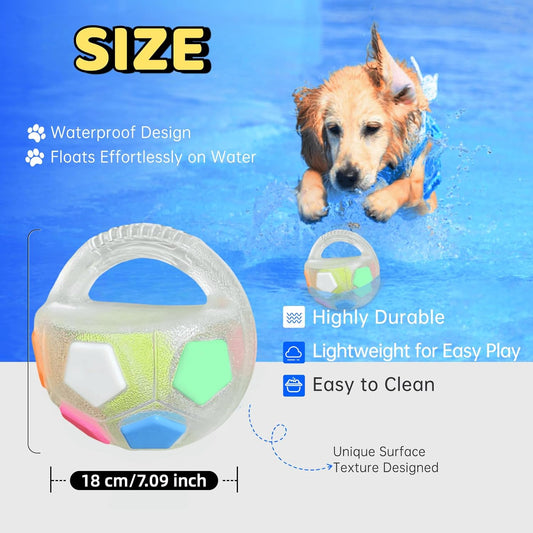 COLORIVER® TPR Dog Soccer Ball 🎉– Tough Chew, Bounce & Play-（Last Day! Offer Ends Tonight.）
